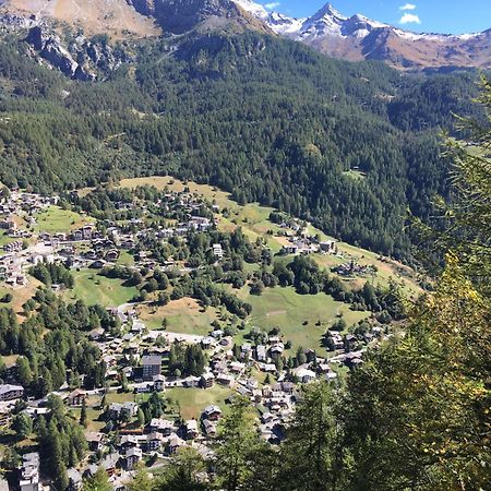 B&B Lepetitnid Valtournenche Eksteriør bilde